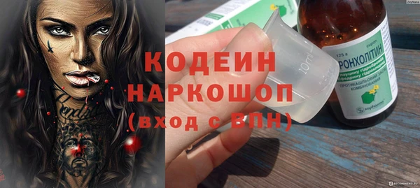 apvp Горнозаводск