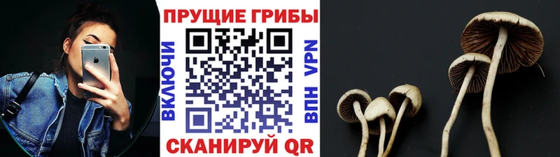 Галлюциногенные грибы мицелий  Котовск 